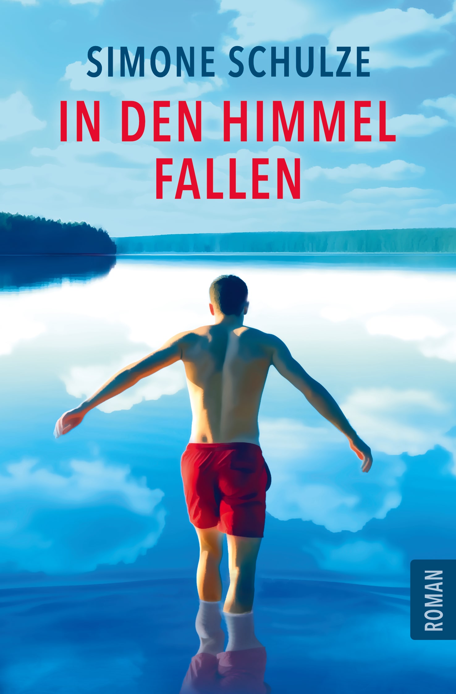 Buchcover - In den Himmel fallen